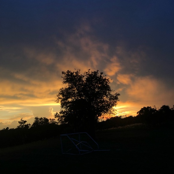 Meet your Posher, Mimi - Picture 1 of 1